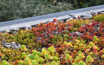 the cost of Russ Hill green roof installation