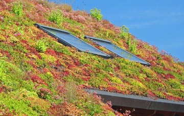 Russ Hill living roof systems